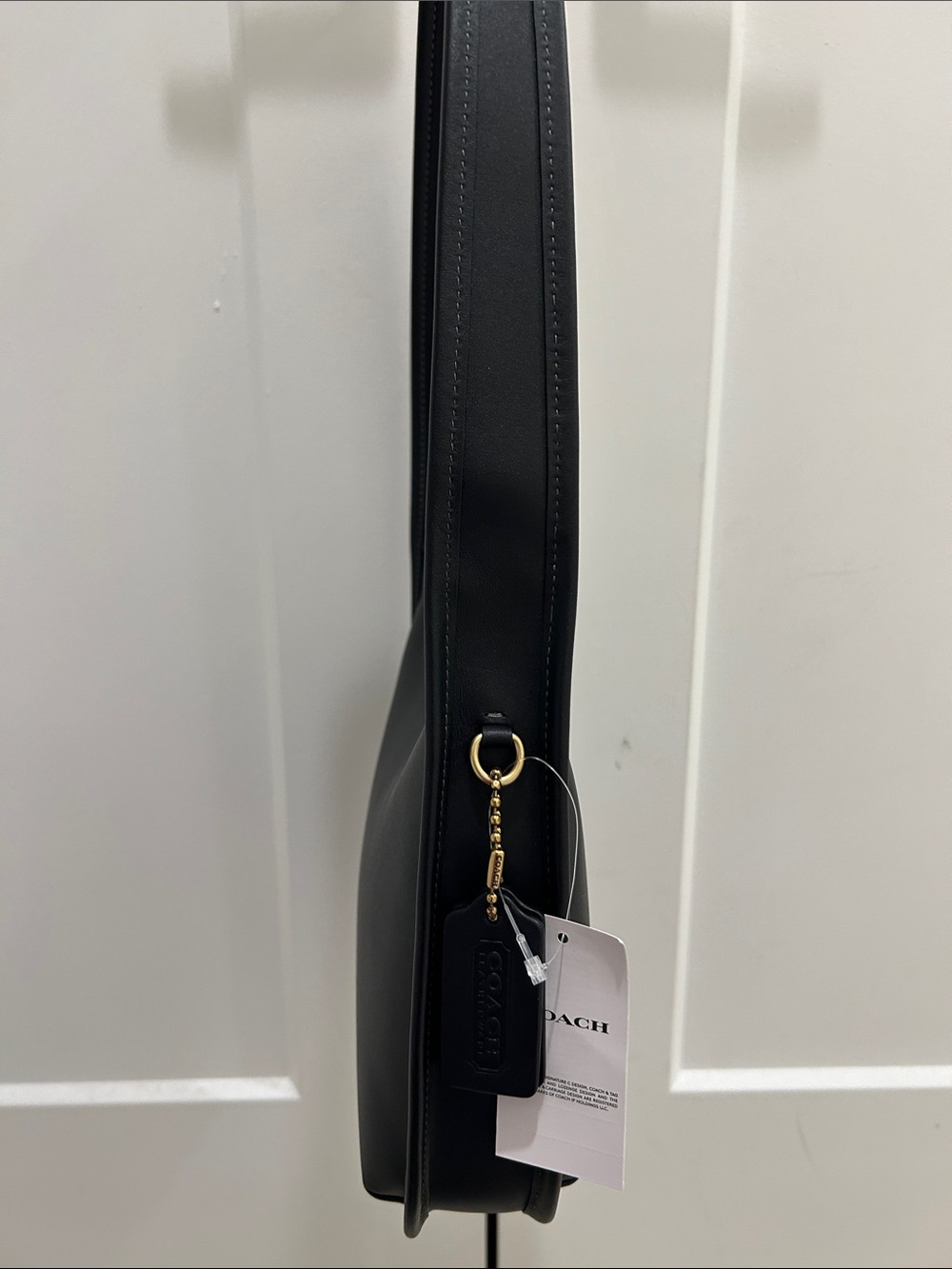 Coach (NWT) Curve Zip Bag - Picture 7 of 16